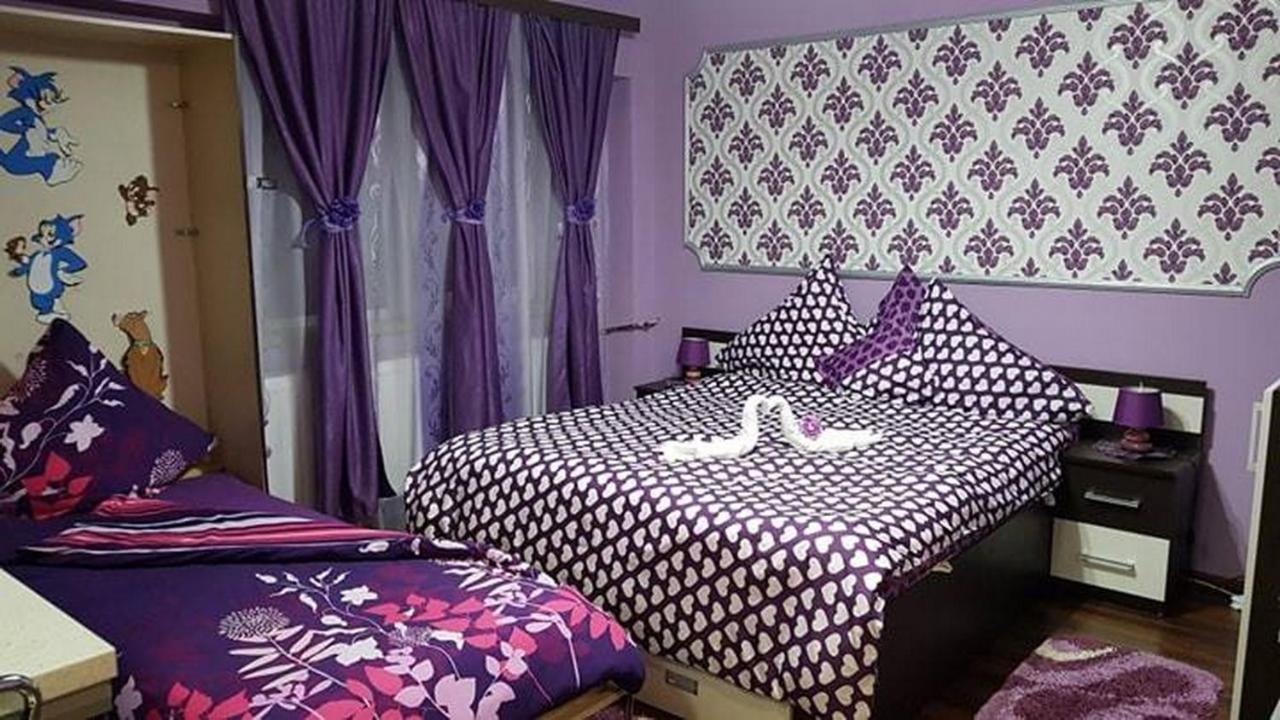 Garsoniera Cristina Apartment Baile Felix Exterior photo